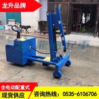 珠海液壓小吊車采購批發(fā)價(jià)格,設(shè)備檢修用龍升液壓小吊車