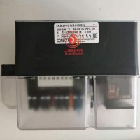 利雅路伺服電機(jī)LKS210-21