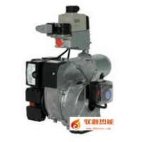 Bentone百通燃?xì)馊紵鰾FG1-2H3