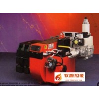 Bentone百通燃?xì)馊紵鰾G300-2