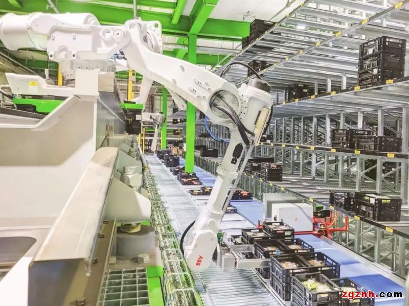 機(jī)器人自動(dòng)化技術(shù)開(kāi)啟物流新時(shí)代！