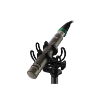 Microtech Gefell-錄音室麥克風(fēng)-M 300