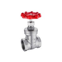 江蘇禾磊200CF8M螺紋閘閥C