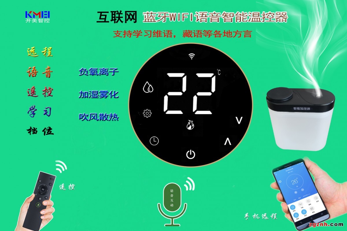 負(fù)氧離子溫控器 拷貝